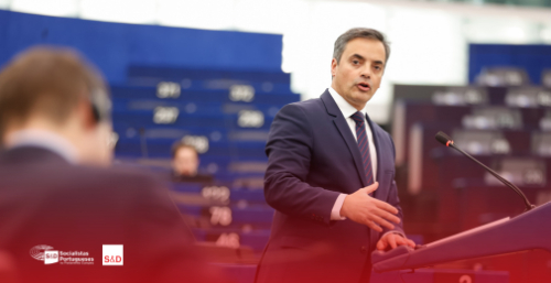 Gronelândia. Eurodeputados portugueses pedem firmeza e união perante ameaças de Trump Gronelândia. Eurodeputados portugueses pedem firmeza e união perante ameaças de Trump