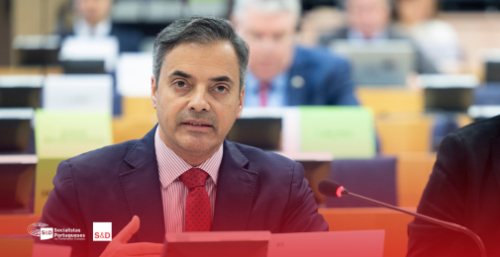 Gronelândia. Eurodeputado expressa "preocupação" perante "retórica belicista" de Trump Gronelândia. Eurodeputado expressa "preocupação" perante "retórica belicista" de Trump